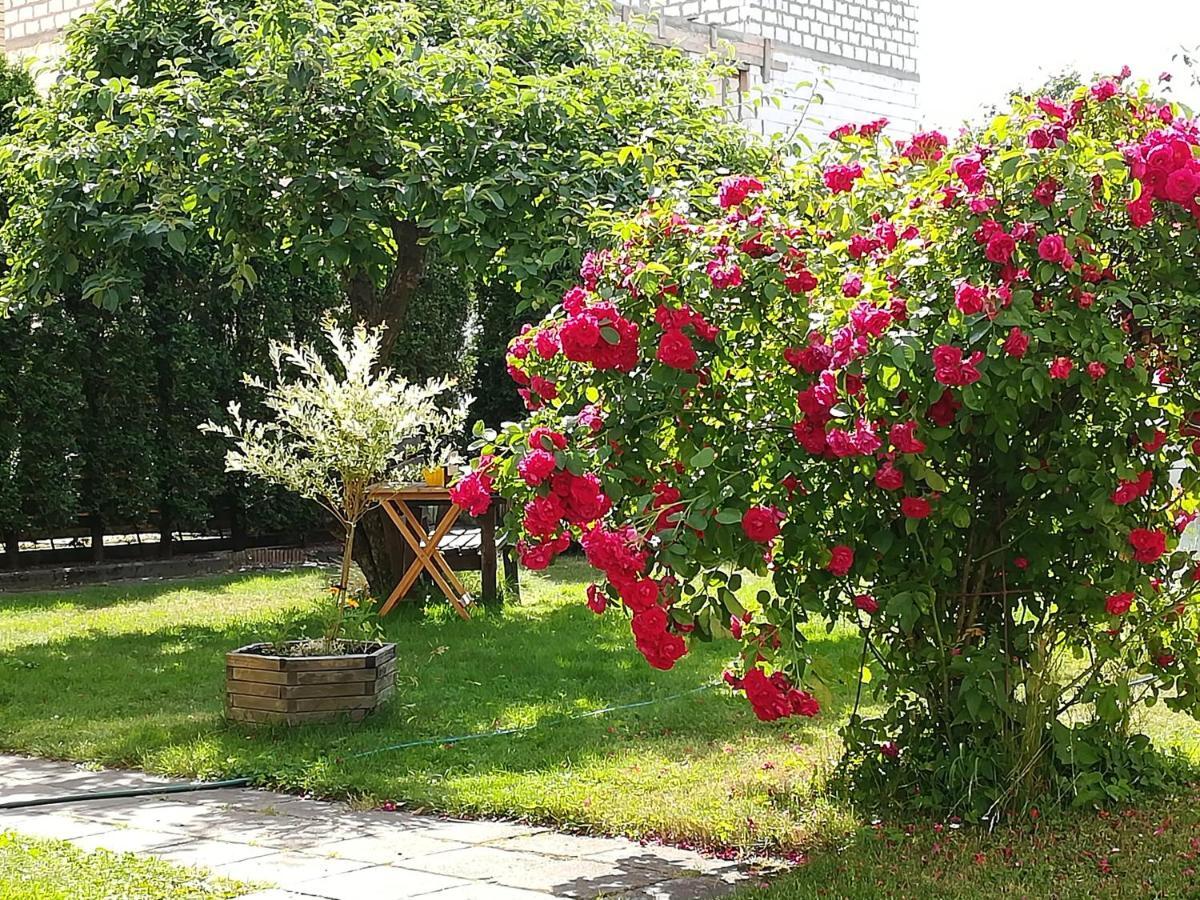 Apartamento Poilsis Pas Virginija Palanga Exterior foto